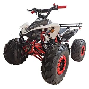 x-pro 125cc atv with automatic transmission w/reverse, led headlights, big 19"/18" tires! (black, factory package)