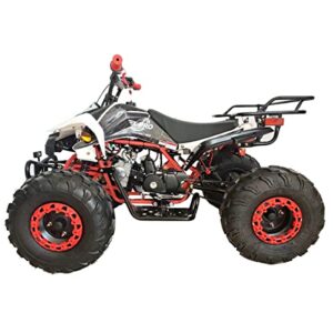 X-PRO 125cc ATV with Automatic Transmission w/Reverse, LED Headlights, Big 19"/18" Tires! (Black, Factory Package)