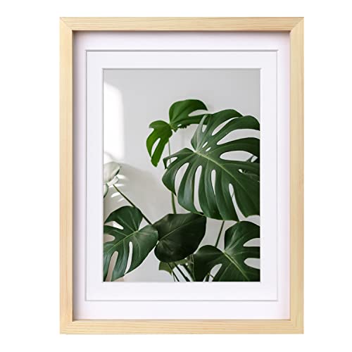 Egofine 12x16 Picture Frame Natural Wood with Plexiglass Made of Solid, Display Pictures 9x12/11x14 with Mat or 12x16 Without Mat for Tabletop and Wall Mounting