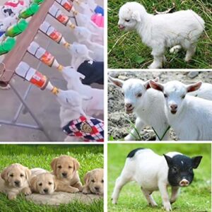 QIQIRO 12-Pack Pritchard Nipple for Goats Milk Drink Bottle Nipple Soft Rubber Pritchard Teat for Small Animal Nursing Lambs Goat Kids Pup Dog Foal Calf Piglet Feed Orphaned