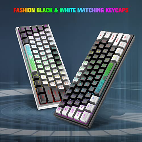 XINMENG 60% Wired Gaming Keyboard and Mouse Combo True RGB Mini Mechanical Feel Ultra-Compact Keyboard and RGB 6400 DPI Honeycomb Optical Mouse,Gaming Mouse pad for Windows Mac Laptop PC Gamer