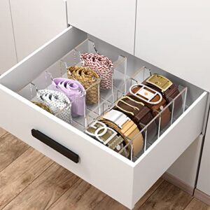 NIUBEE Belt Organizer, Acrylic Belt Storage Holder for The Closet, 5 Compartments Display Case for Tie and Bow Tie