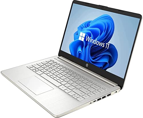 HP 2022 14" Touchscreen Laptop, Windows 11, AMD 3020e Processor, 4GB RAM, 64GB SSD, HDMI, Sparkling Silver (Renewed)