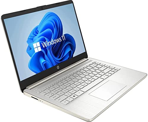 HP 2022 14" Touchscreen Laptop, Windows 11, AMD 3020e Processor, 4GB RAM, 64GB SSD, HDMI, Sparkling Silver (Renewed)