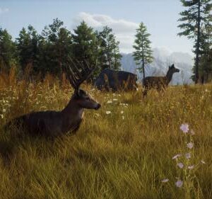 Way of The Hunter for PlayStation 5