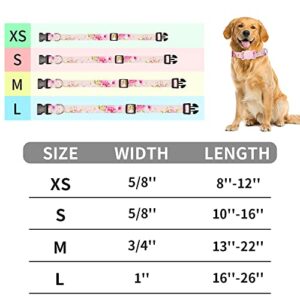 AirTag Cat Collar, Animire Soft Neoprene Padded Air Tag Collar for Extra Small Dogs, Polyester Puppy Pet Collar with Silicone AirTag Case Holder Accessories, 8"-12" Neck