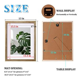 Egofine 12x16 Picture Frame with Plexiglass Made of Solid Wood, Display Pictures 9x12/11x14 with Mat or 12x16 Without Mat for Tabletop and Wall Mounting, Carbonized Brown