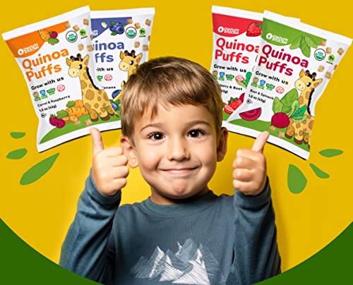 Awsum Snacks Variety Baby Puffs - Happy Healthy Baby Snack - Natural Plant Based Puffed Snacks - Certified USDA Organic Kosher Non GMO Gluten Free Vegan - No Added Sugar - Non-Allergy (12 1.5oz bags)