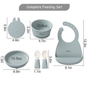 Dilovely Baby Led Weaning Supplies, Silicone Feeding Utensils Set, Babies Plates and Bowls Set, Suction Baby Bowl Plate with Adjustable Bibs and Training Spoon Fork - 6 Pcs BPA Free Green