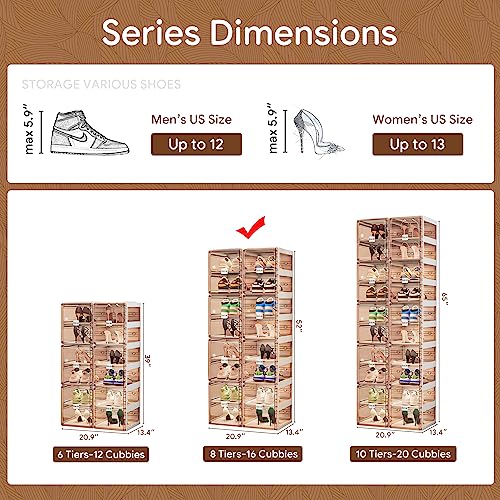 BINSIO Shoe Organizer, Shoe Rack for Closet, Shoe Cabinet for Entryway, Plastic Shoe Storage, Foldable Shoe Box, Fast Assembly Shoe Shelf, One Piece Sturdy Sneaker Holder, Clear Brown Doors - 8 Tiers