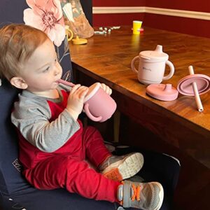 Dilovely Silicone Sippy Cup for Toddler, Transition Straw Cups for baby 12 months +, 3 in 1 Training Sippy Cups for Babies with Two Handles, 2 Pack Dishwasher & Microwave Safe, BPA Free 7oz Pink