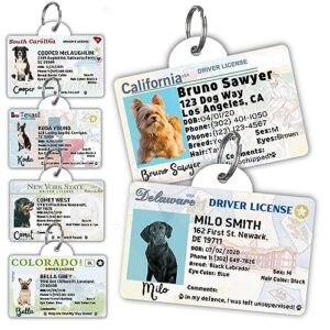 driver license custom dog tag for pets and wallet card - dog tags for dogs - dog id tag - personalized dog id tags - cat id tags - pet id tags for cats - personalized pet id tags (california, tag)