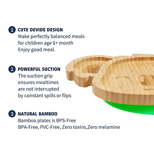 qianliyer Bamboo Baby Plates with Suction - Natural Feeding Dishes for Babies and Toddlers, Perfect for Led Weaning, Non-Slip Design | Ideal Gifts for Kids (Green)