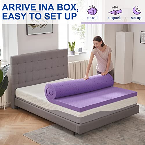 SINWEEK 2 Inch Gel Memory Foam Mattress Topper Ventilated Soft Mattress Pad, Bed Topper, CertiPUR-US Certified, Twin XL Size, Purple