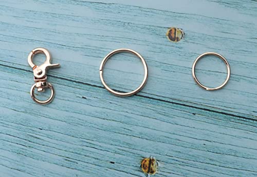 Ruwado 5 Pcs Dog Tag Clips with 5 Pcs 3/4 Inch Keychain 5 Pcs 1 Inch Keychain Gold Metal Dog Tag Rings for Pet Kitten Cat Collars ID Holder Harnesses