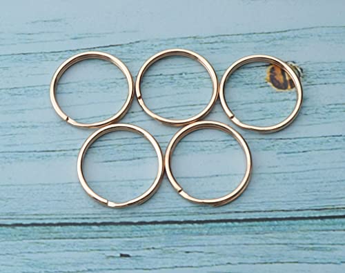 Ruwado 5 Pcs Dog Tag Clips with 5 Pcs 3/4 Inch Keychain 5 Pcs 1 Inch Keychain Gold Metal Dog Tag Rings for Pet Kitten Cat Collars ID Holder Harnesses