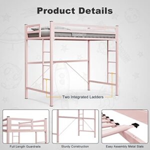 IKIFLY Metal Twin Size Loft Bed Frame - Heavy Duty Princess Cute Loft Beds with 2 Ladders & Safety Guard Rail, Space-Saving, Noise Free, No Box Spring Needed - Pink