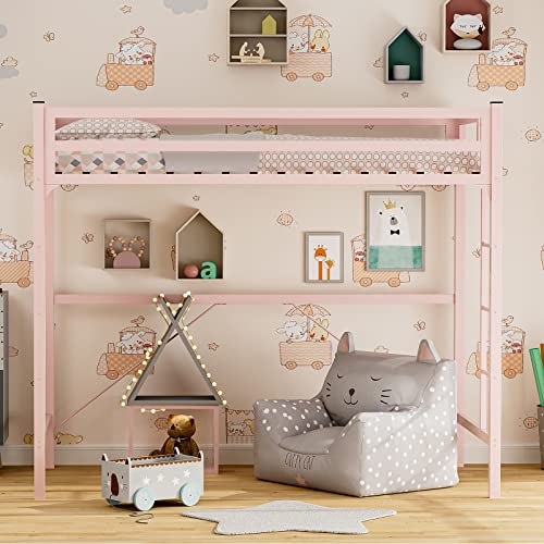 IKIFLY Metal Twin Size Loft Bed Frame - Heavy Duty Princess Cute Loft Beds with 2 Ladders & Safety Guard Rail, Space-Saving, Noise Free, No Box Spring Needed - Pink