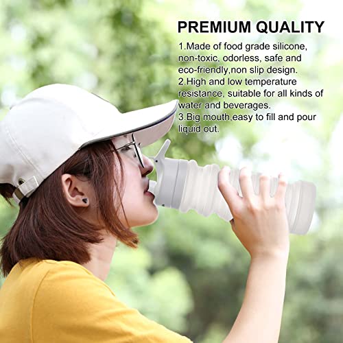 Muslish Collapsible Water Bottle 18oz(550ml), BPA Free Silicone Foldable Water Bottles for Travel Gym Camping Hiking, Reuseable Portable Leak Proof Sports Water Bottle with Carabiner(Clear)