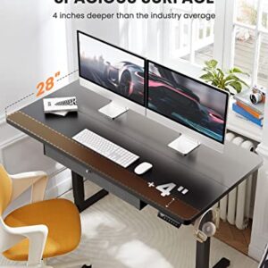 ErGear Electric Standing Desk with Drawer, Adjustable Height Sit Stand Up Desk, Home Office Desk Computer Workstation, 55x28 Inches, Black