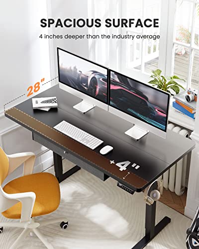 ErGear Electric Standing Desk with Drawer, Adjustable Height Sit Stand Up Desk, Home Office Desk Computer Workstation, 55x28 Inches, Black