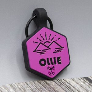 Silicone Silent Dog Tag Personalized with 5 Lines of Custom Deep Engraved Durable Soundless Pet ID Name Tag Hexagon Pink