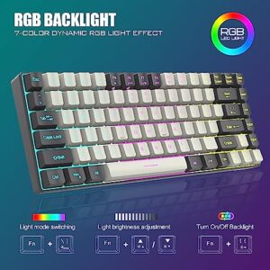 RedThunder K84 Wireless Keyboard and Mouse Combo, RGB Backlit Rechargeable Battery, 75% Layout 84 Keys TKL Ultra Compact Gaming Keyboard & Lightweight 7200 DPI Honeycomb Optical Mouse (White-Gray)