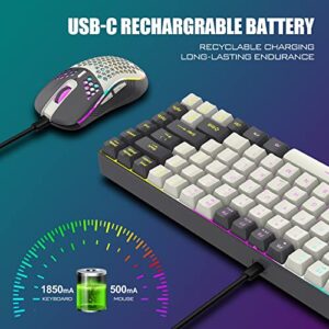 RedThunder K84 Wireless Keyboard and Mouse Combo, RGB Backlit Rechargeable Battery, 75% Layout 84 Keys TKL Ultra Compact Gaming Keyboard & Lightweight 7200 DPI Honeycomb Optical Mouse (White-Gray)