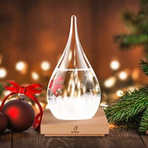 gifts for fathers, fathers day decorations storm glass christmas snow globe weather glass-xmas gifts,mens gifts for christmas unique,unique finds,storm glass weather predictor christmas for men gifts