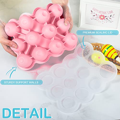 6 Pack Baby Food Storage Container 12 Cup Silicone Baby Food Freezer Tray with Lid Reusable Stackable Silicone Baby Food Freezer Tray for Baby Food Vegetable Fruit Puree and Breast Milk