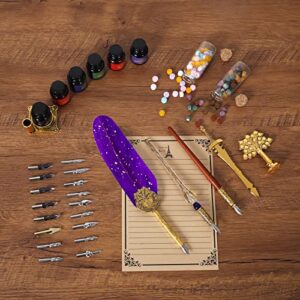 TIANREN Calligraphy Feather Dip pen set with 6 bottles of ink,Quill Pen,Wooden Dip Pen,Glass Dip Pen,Wax Seal Stamp Kits,Pen Holder,spoon,Letter opener, Christmas Gift for Men&Women(Purple)