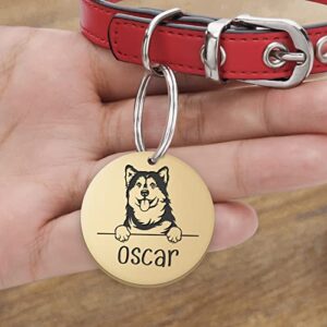 Atdesk Personalized Dog Tags, Pet Portrait Dog ID Tags, Anti-Lost Dog Name Tag Stainless Steel Pet Collar Charm, Engraved on Both Sides, 66 Dog Breeds Available