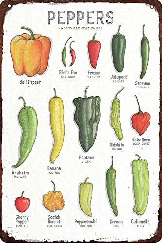 Pepper Knowledge Metal Signs Peppers Scoville Heat Units Posters Wall Decor Retro Plaque Science Guide Room Club Kitchen Cafe Garage Home Bar Pub Diner 12x16 Inches