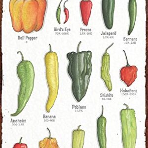 Pepper Knowledge Metal Signs Peppers Scoville Heat Units Posters Wall Decor Retro Plaque Science Guide Room Club Kitchen Cafe Garage Home Bar Pub Diner 12x18 Inches
