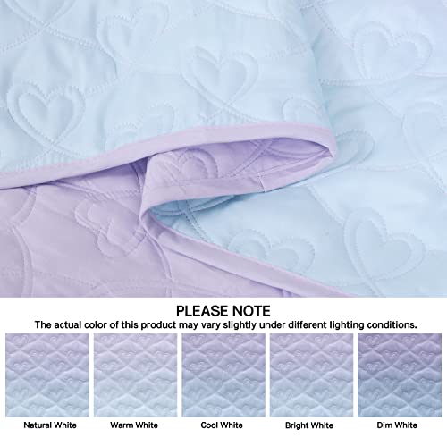 DREAMCLOUD HOME Quilt Set Full Queen Size 3 Piece, Bailey Pattern Printed Bedding Coverlet Set, Lightweight Soft Reversible Bedspread Sets for All Season (1 Quilt & 2 Pillow Shams)