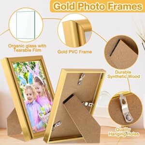 Kathfly 16 Pcs Picture Frames Simple Designed Photo Frames Modern Gold Frames for Pictures with Resin Glass for Wall Mount Tabletop Display Home Office Hotel Decoration (4 x 6 Inch)