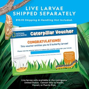 NATIONAL GEOGRAPHIC Butterfly Growing Kit - Butterfly Habitat Kit with Voucher to Redeem 5 Caterpillars ($10.95 S&H Not Included), Butterfly Cage, Feeder (Amazon Exclusive)