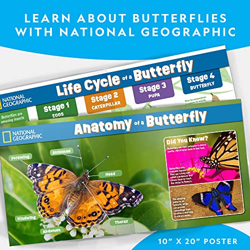NATIONAL GEOGRAPHIC Butterfly Growing Kit - Butterfly Habitat Kit with Voucher to Redeem 5 Caterpillars ($10.95 S&H Not Included), Butterfly Cage, Feeder (Amazon Exclusive)