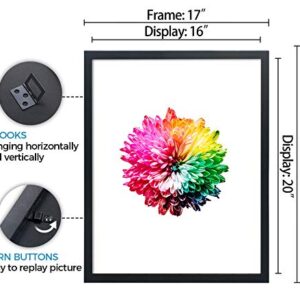 JD Concept Wood 16x20 Black Picture Frame 3 Pack - Gallery Wall Frame Set - Suitable for Horizontal and Vertical Hanging 16 x 20 Poster Photo