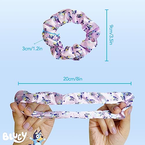 Bluey Hair Accessory 5 Pcs Set - 1 Regular 9 inch Bluey Hair Brush For Girls + 4 Bluey Scrunchies For Kids - Hair Accessories For Girls - Detangling Brush - Elastic Hair Ties Ropes Scrunchies Ages 3+