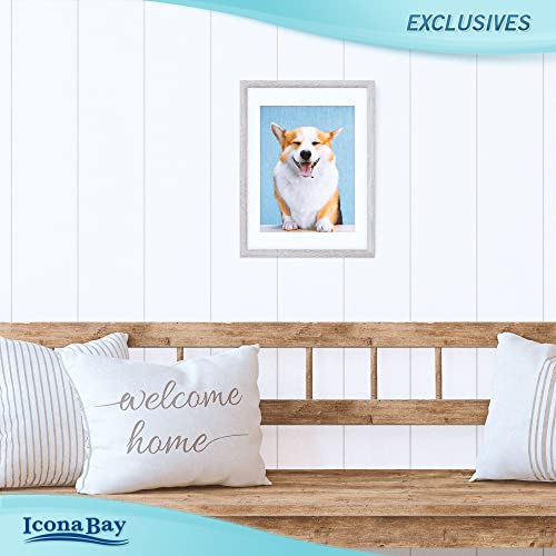 Icona Bay 12x16 Alder Gray Picture Frame with Mat to 9x12 Image, Sturdy Wood Composite Poster Frame, Wall Mount Only, Modern Style Frames, Exclusives Collection