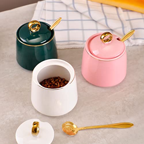 WHJY Ceramic Sugar Bowl with Lid and Spoon, Simple White Clear Porcelain Salt Bowl Salt Container, Modern Spice Box Seasoning Jar for Home and Kitchen Coffee Bar - White