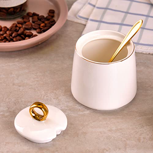 WHJY Ceramic Sugar Bowl with Lid and Spoon, Simple White Clear Porcelain Salt Bowl Salt Container, Modern Spice Box Seasoning Jar for Home and Kitchen Coffee Bar - White