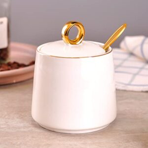 WHJY Ceramic Sugar Bowl with Lid and Spoon, Simple White Clear Porcelain Salt Bowl Salt Container, Modern Spice Box Seasoning Jar for Home and Kitchen Coffee Bar - White