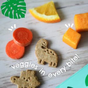 Beech-Nut Toddler Snacks, Dino Biscuits with Hidden Veggies, Pumpkin Cinnamon, Non-GMO Baked Snack for Kids, 5 oz Bag (7 Pack)