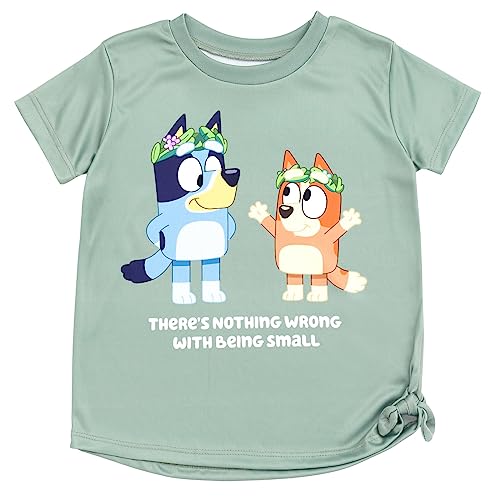 Bluey Bingo Toddler Girls T-Shirt and Leggings Outfit Set Green/Blue 2T