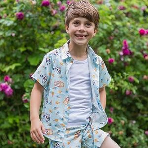 Bluey Bingo Toddler Boys Hawaiian Button Down Shirt and Shorts 3T