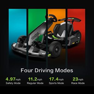 Segway Transformer Electric GoKart Pro Bumblebee Limited Edition & Segway Ninebot Electric GoKart Pro, Outdoor Race Pedal Go Karting Car, Black