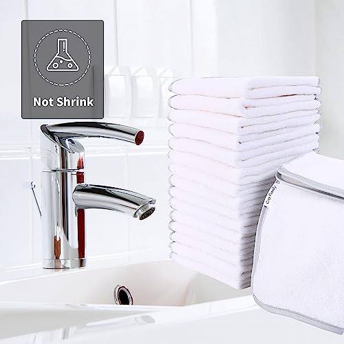 Cosy Family Luxuriously Soft Washcloths Set - 12 x 12 inches - 24 Pack - Quick Drying - Highly Absorbent Coral Velvet Fingertip Towel Bathroom Wash Clothes for Bath, Spa, Facial, Kitchen - White