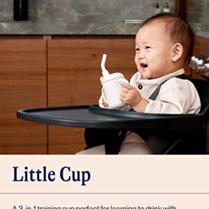 Lalo Little Cup, Non-Toxic Silicone Straw Cup with Handles - Baby and Toddler Sippy Cup - Mini Cup and Straw Training System, 4oz, Blueberry